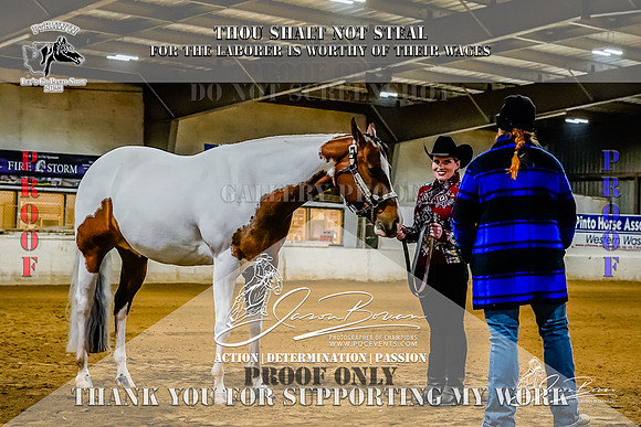 PtHAWW_Lets Go Pinto Show_SAT_299-17-Z