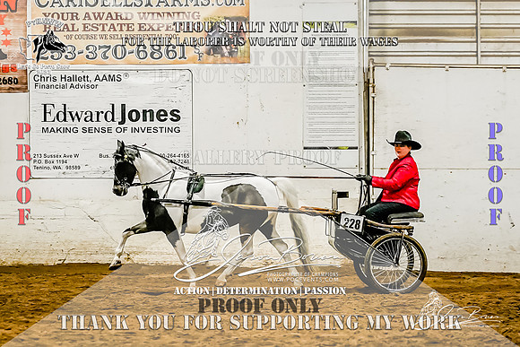 PtHAWW_Lets Go Pinto Show_SUN_228-10-Z