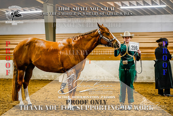 PtHAWW_Lets Go Pinto Show_SUN_256-39-Z