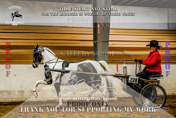 PtHAWW_Lets Go Pinto Show_SUN_228-7-Z