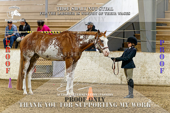 PtHAWW_PEX23_Class 102-004-Z