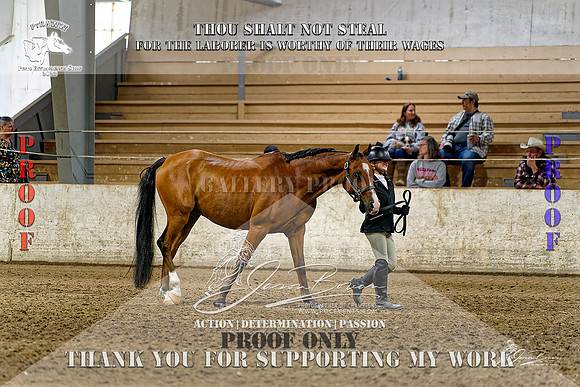 PtHAWW_PEX23_Class 103-002-Z