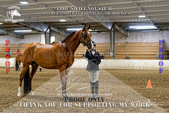 PtHAWW_PEX23_Class 103-011-Z