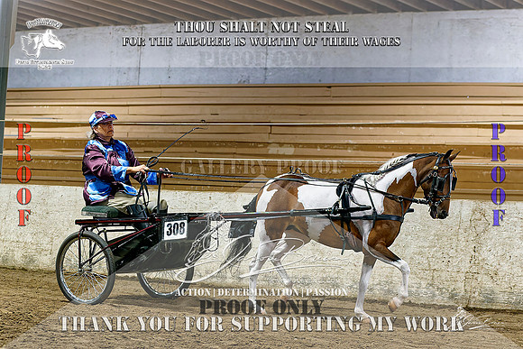 PtHAWW_PEX23_Class 121-008-Z