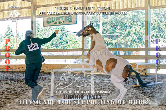 PtHAWW-PEX23-Class 156-006-Z