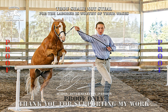 PtHAWW-PEX23-Class 156-018-Z