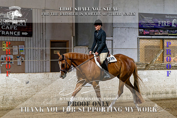 PtHAWW-PEX23-Class 158-005-Z