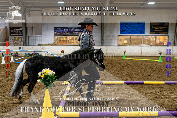 PtHAWW-PEX23-Class 224-225-008-Z