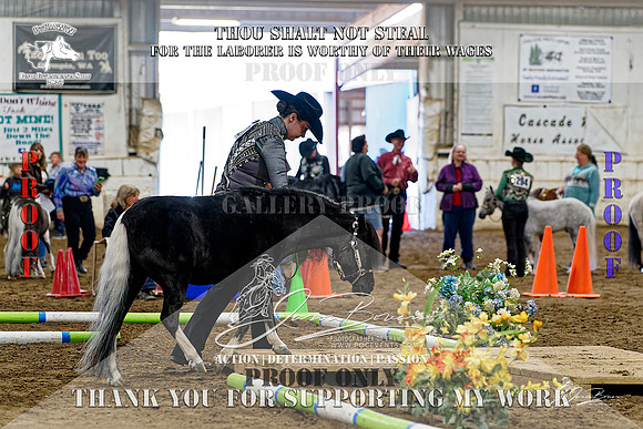 PtHAWW-PEX23-Class 224-225-005-Z