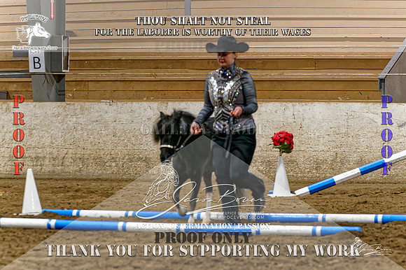 PtHAWW-PEX23-Class 224-225-015-Z