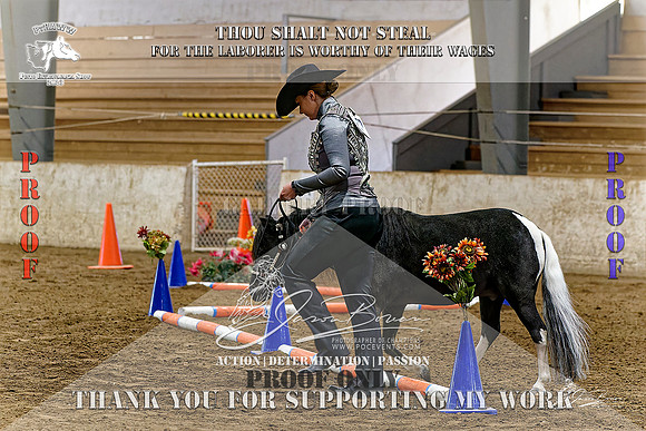 PtHAWW-PEX23-Class 224-225-019-Z