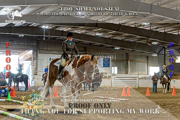 PtHAWW-PEX23-Class 230-003-Z