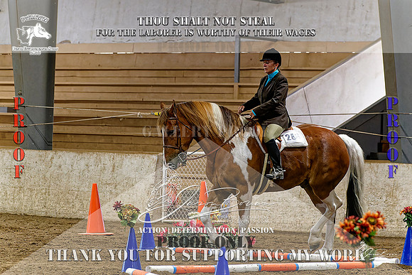 PtHAWW-PEX23-Class 230-017-Z