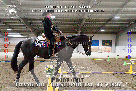 PtHAWW-PEX23-Class 235-009-Z