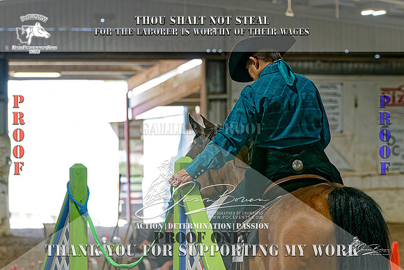 PtHAWW-PEX23-Class 250-003-Z