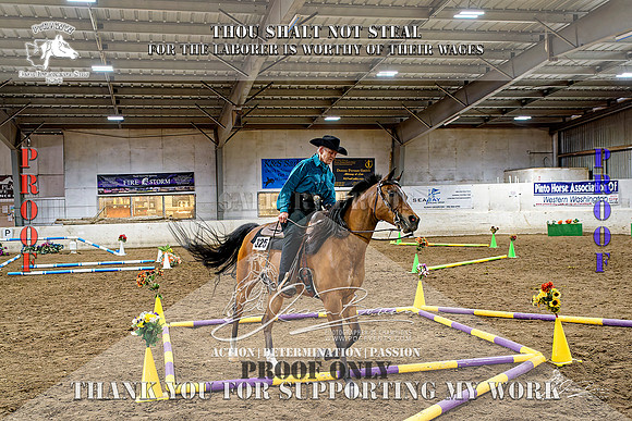 PtHAWW-PEX23-Class 250-010-Z