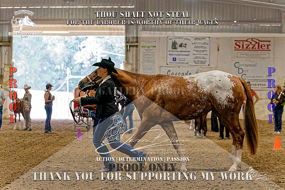 PtHAWW-PEX23-Class 262-011-Z