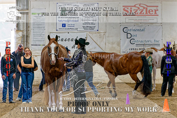 PtHAWW-PEX23-Class 265-005-Z