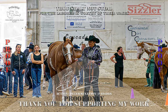 PtHAWW-PEX23-Class 265-007-Z