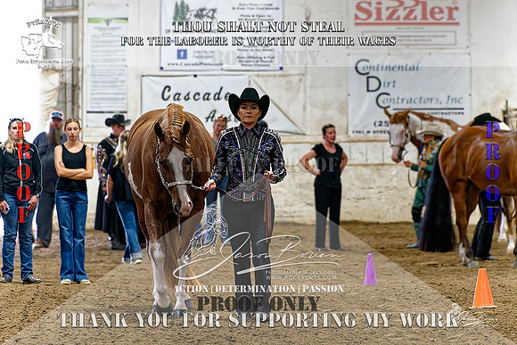 PtHAWW-PEX23-Class 265-008-Z