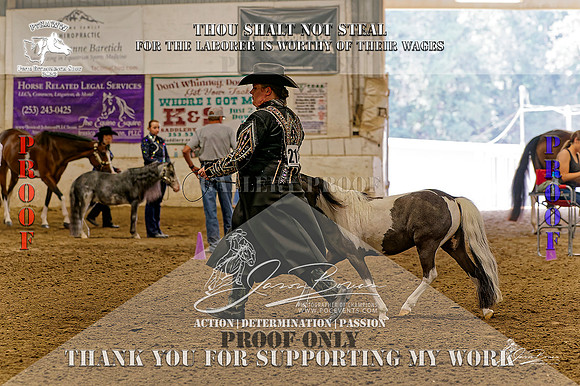 PtHAWW-PEX23-Class 267-010-Z