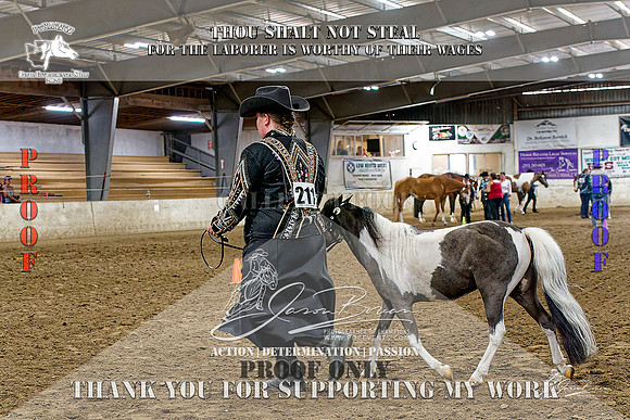 PtHAWW-PEX23-Class 267-024-Z