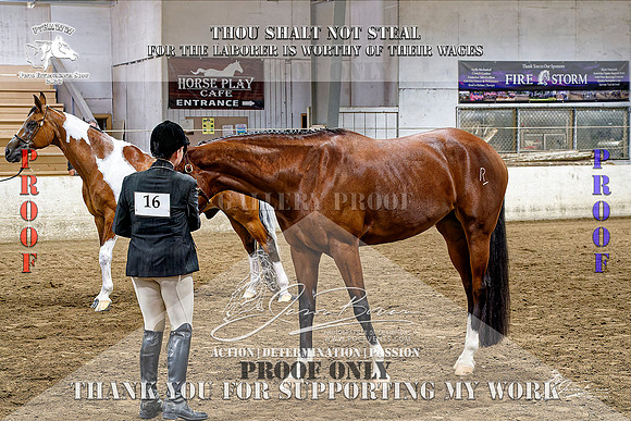 PtHAWW-PEX23-Class 293-295-010-Z