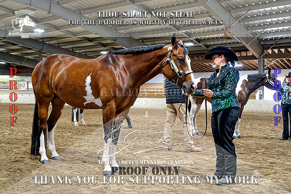 PtHAWW-PEX23-Class 293-295-018-Z