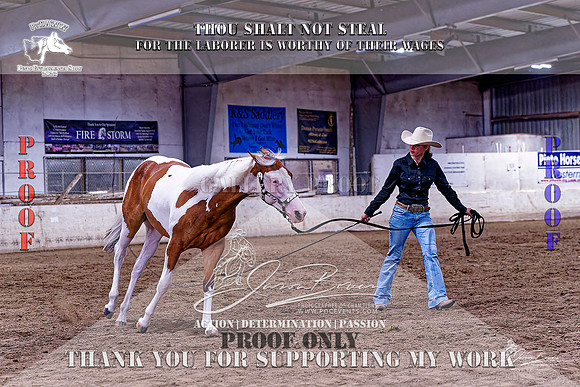 PtHAWW-PEX23-Class 312-011-Z