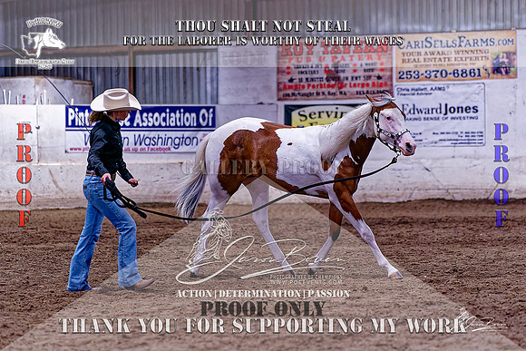 PtHAWW-PEX23-Class 312-018-Z