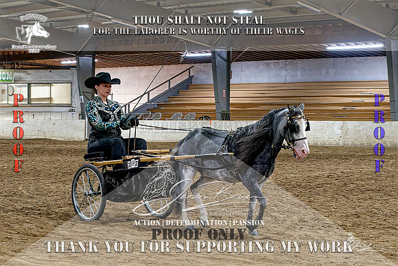 PtHAWW-PEX23-Class 352-015-Z