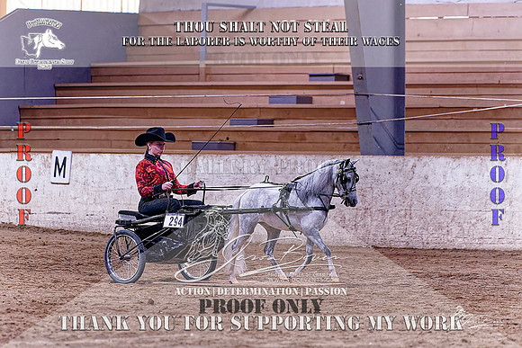 PtHAWW-PEX23-Class 349-003-Z