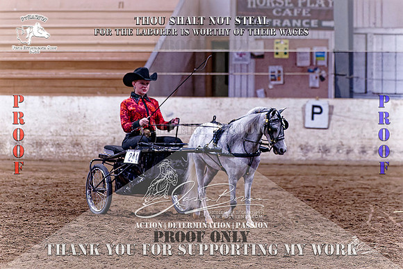 PtHAWW-PEX23-Class 349-008-Z