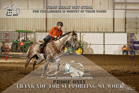 NWBHA-Finals23-OPN1G-2013-Z