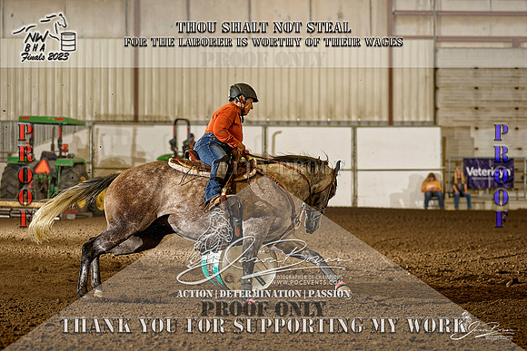 NWBHA-Finals23-OPN1G-2014-Z