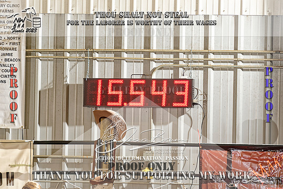 NWBHA-Finals23-SNR1GO-387-Z