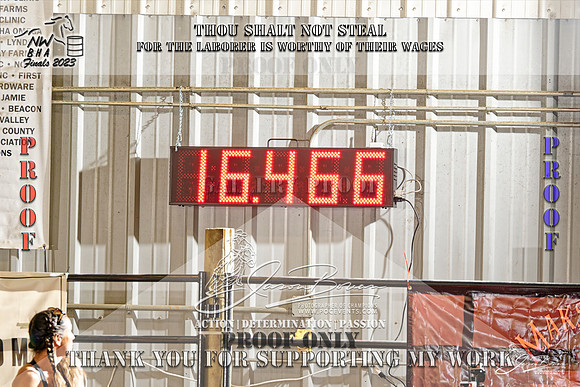 NWBHA-Finals23-SNR1GO-495-Z