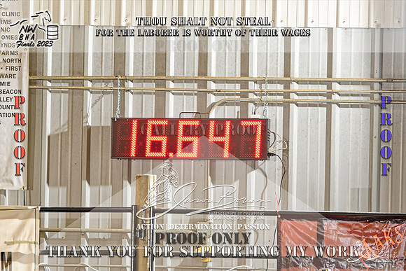 NWBHA-Finals23-SNR1GO-536-Z