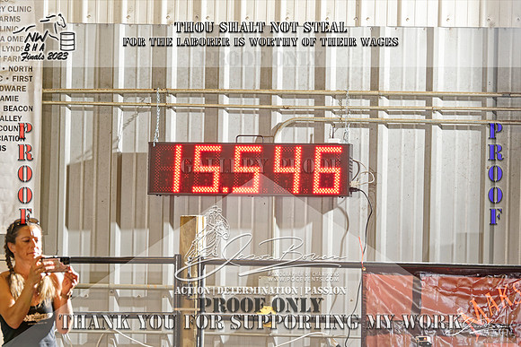 NWBHA-Finals23-SNR1GO-588-Z