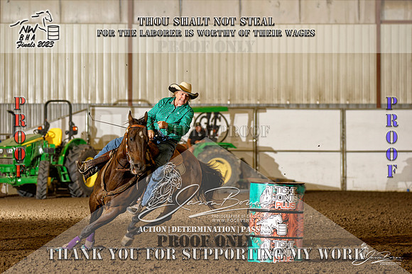 NWBHA-Finals23-SNR1GO-706-Z