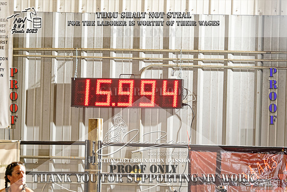 NWBHA-Finals23-SNR1GO-824-Z
