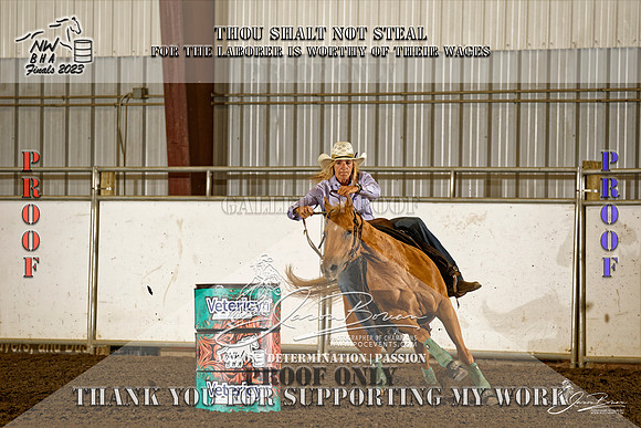 NWBHA-Finals23-SNR1GO-1209-Z
