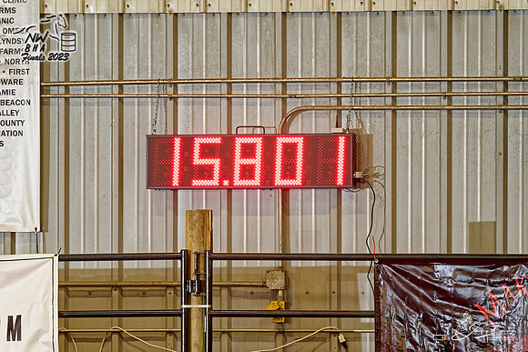 NWBHA-Finals23-OPN1G-1834