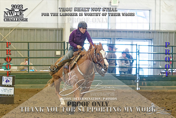 NWTEC23_BR_2GO_SNR-017-Z