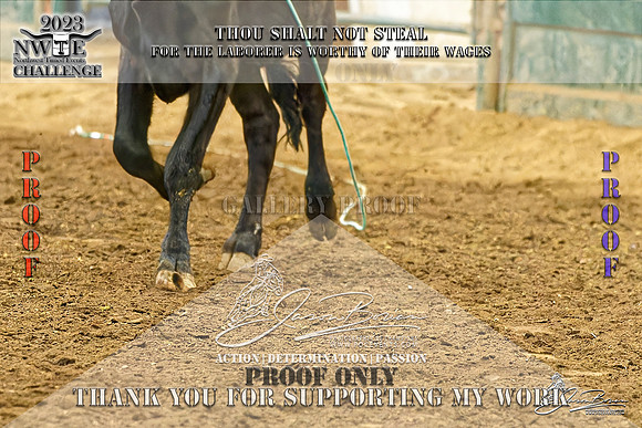 NWTEC23_TR_SAT_RND1-317-Z