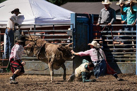 2015-06-07_EVT_Roy Pioneer Rodeo-84